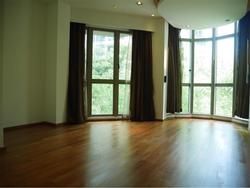 Amaryllis Ville (D11), Condominium #161930962